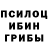 Галлюциногенные грибы Cubensis Nicolan Taylor